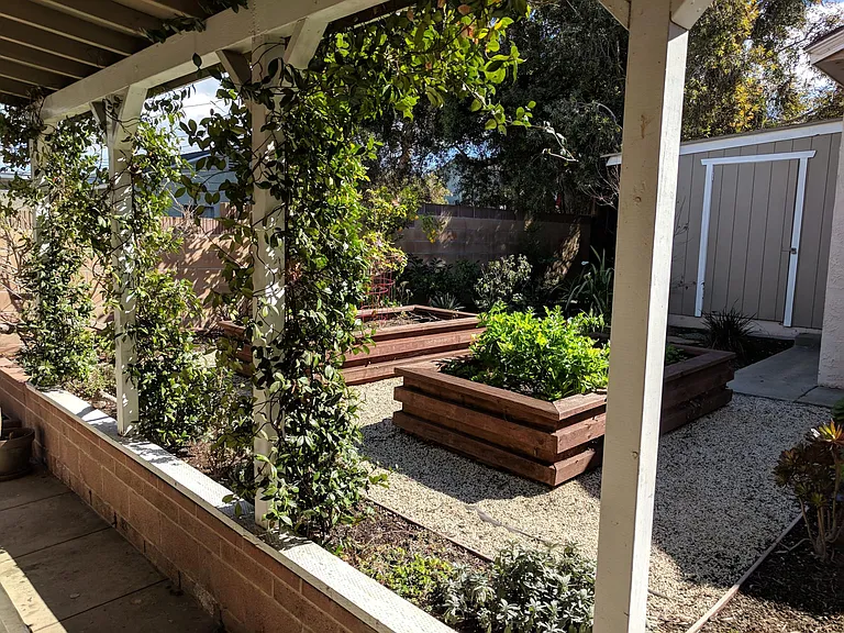 Backyard