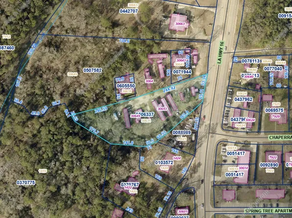 30631 State Highway 16, Denham Springs, LA 70726