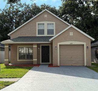 6729 Summer Haven Dr, Riverview, FL, 33578