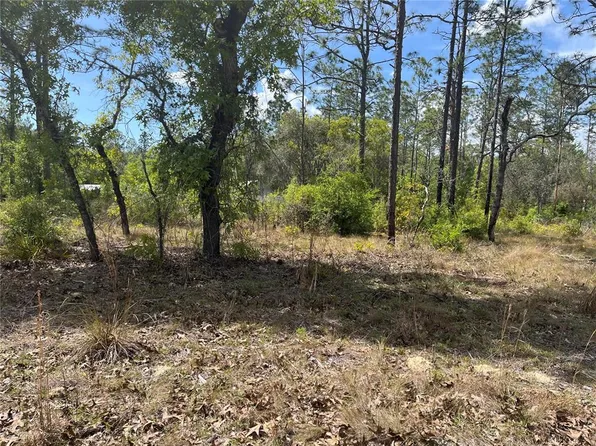 NE 96th Ave Lot 5, Bronson, FL 32621