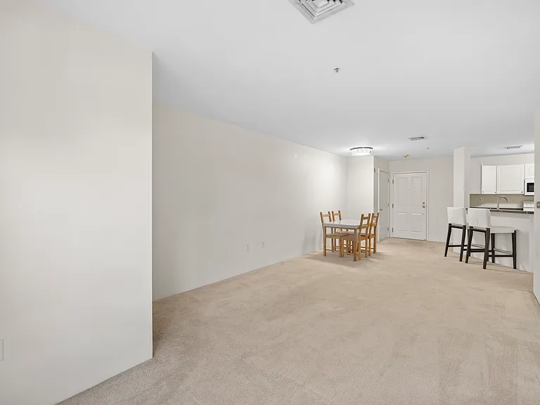 30 Franklin St #309 — Photo 9