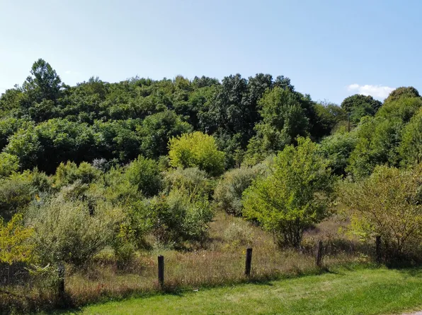 Meadow Ln, Lawrence, MI 49064