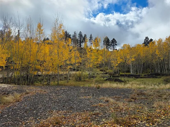302 Rickel Circle LOT 24, South Fork, CO 81154