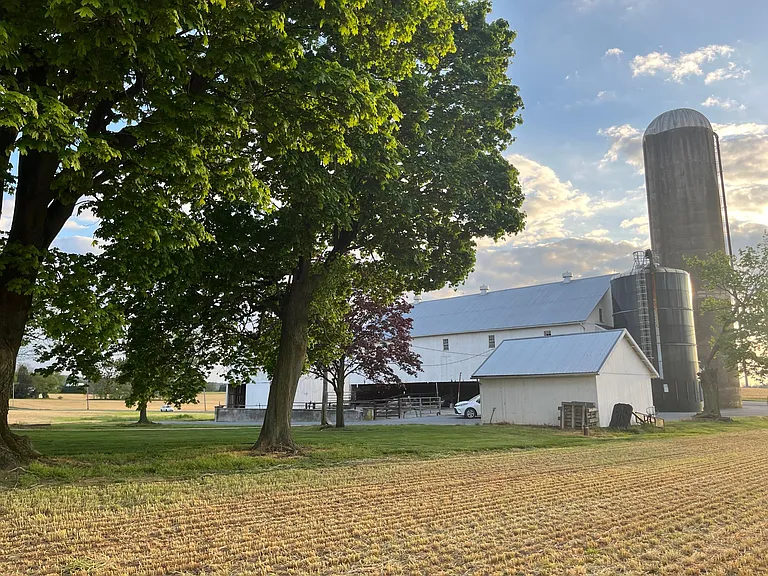 View from road approaching property