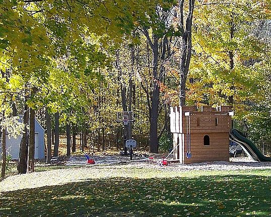 Back Yard from House