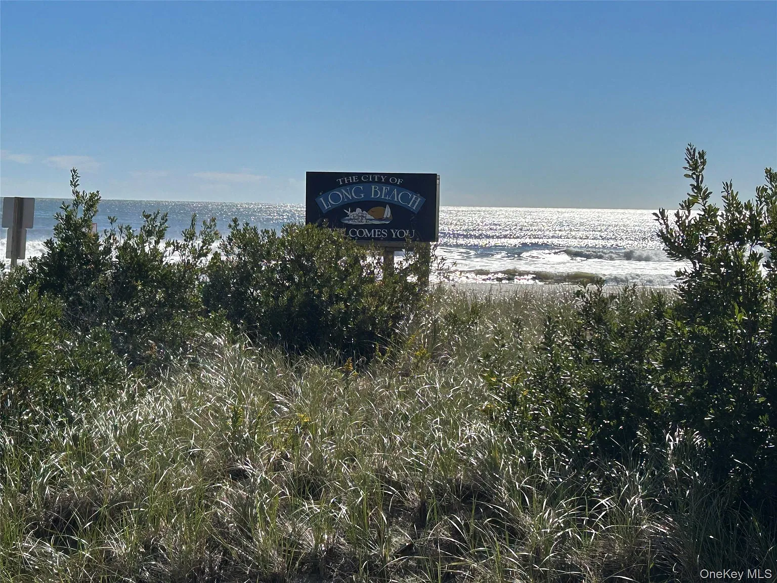 2 bed, 2.0 bath, 1050 sqft, $4,600 — Photo 2