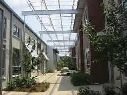 1 bed, 999 sqft, $1,800 — Photo 3