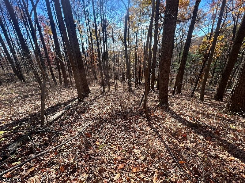 90 Halfway House Road, Washington, NJ 07882 MLS 3873942 Zillow