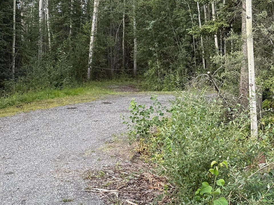 2nd image of Mile 109 Richardson Hwy