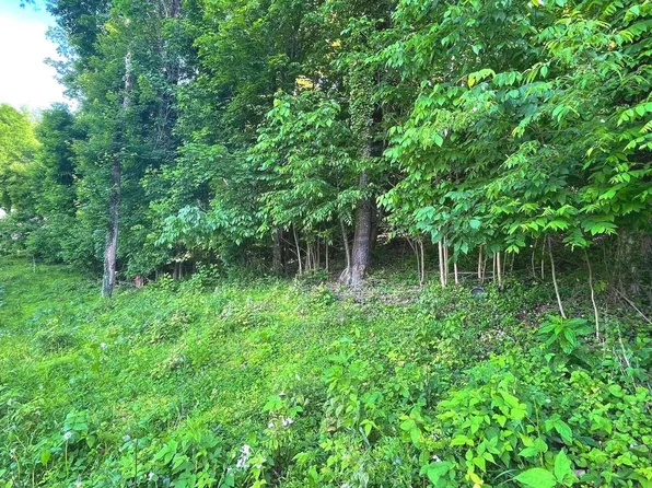 Miller Rd, Ridgeley, WV 26753