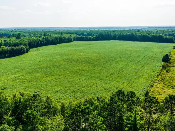 Buzzle Rd NW, Shevlin, MN 56676