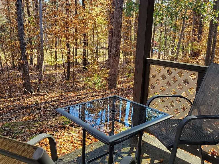 435 Haltiwanger Rd #3 — Photo 3