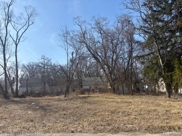 18149 Vaughan St, Detroit, MI 48219