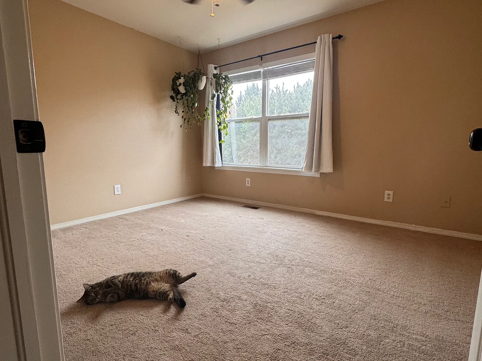 3 bed, 3.5 bath, 1632 sqft, $700 — Photo 2