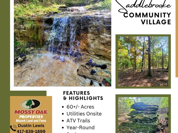 0 Dry Hollow Rd, Chestnutridge, MO 65630