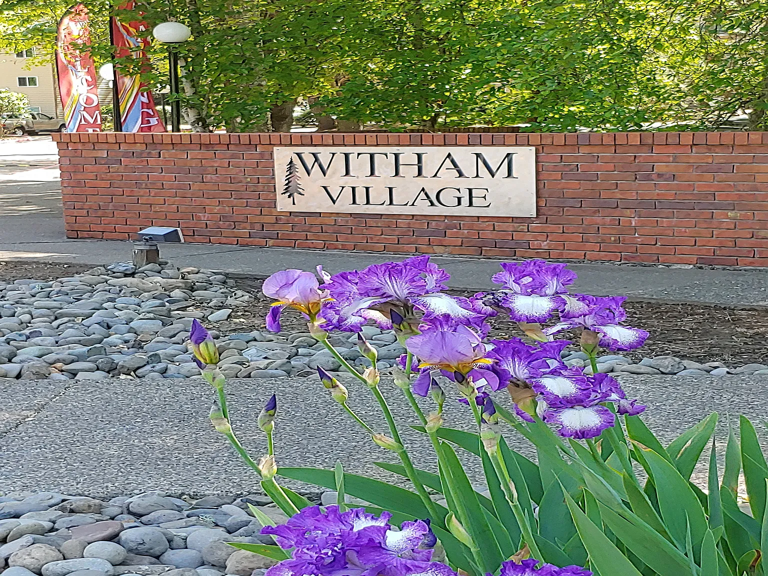 Witham Village — Photo 1
