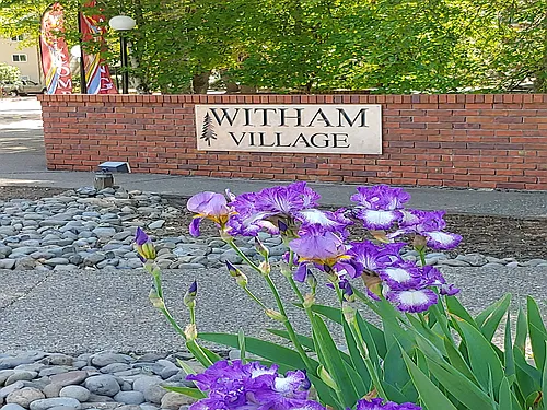 Witham Village Photo 1