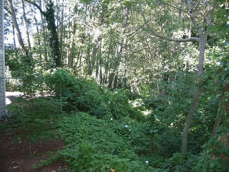 On green belt