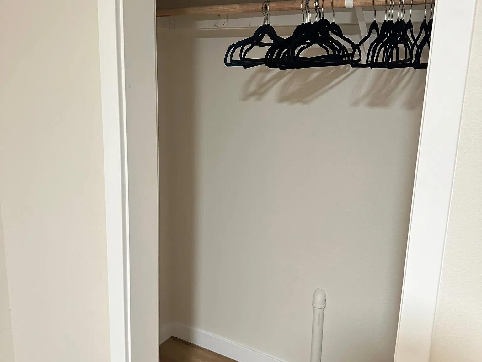 1 bed, 200 sqft, $900 — Photo 3