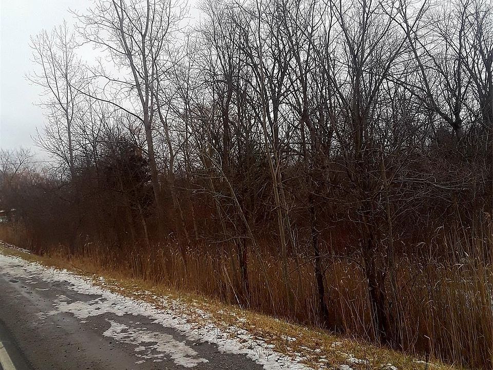 2nd image of 0 E Maple Ave