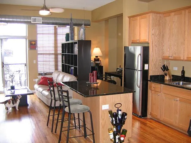 1919 S Michigan Ave #300 — Photo 1