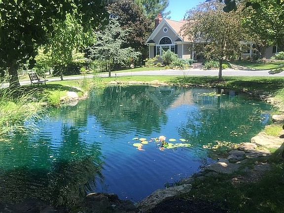 Koi Pond 