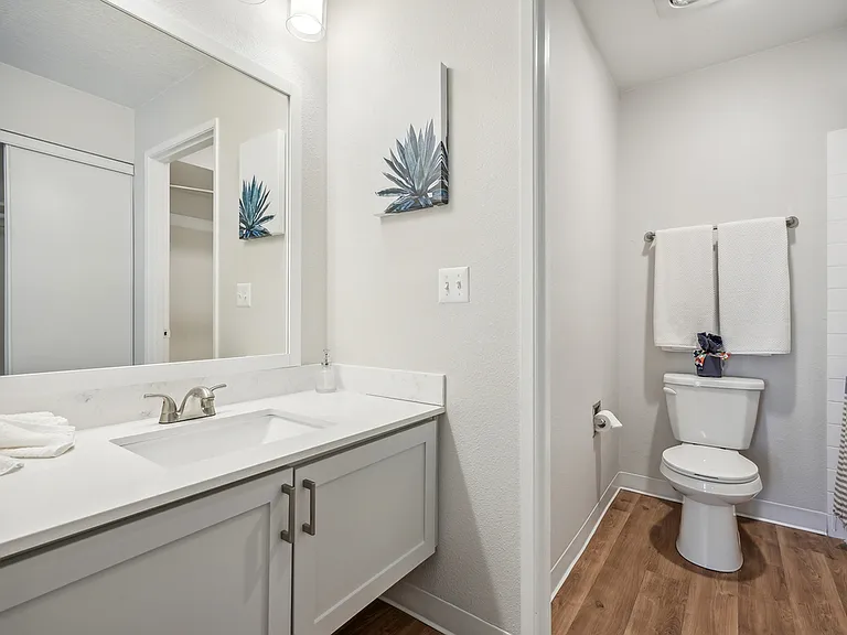 Primary Bathroom Primary Bathroom
