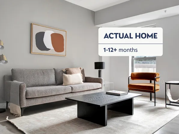 45 E Newton St Floor 1-ID467, Boston, MA 02118