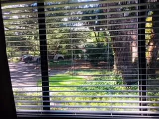 264 Moss Oak Ln — Photo 7