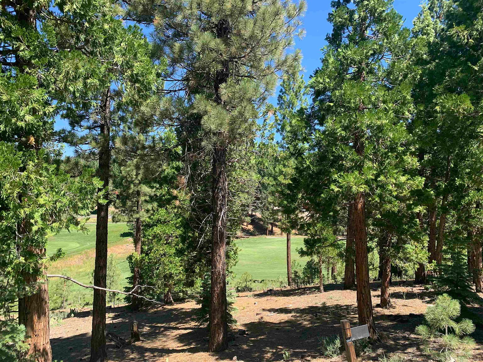 2066 Grizzly Ranch Rd