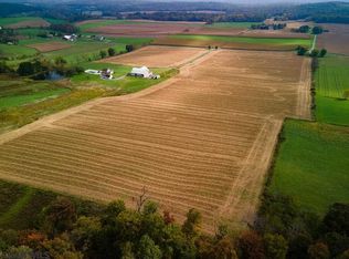 4181 Halfmoon Valley Rd, Warriors Mark, PA 16877