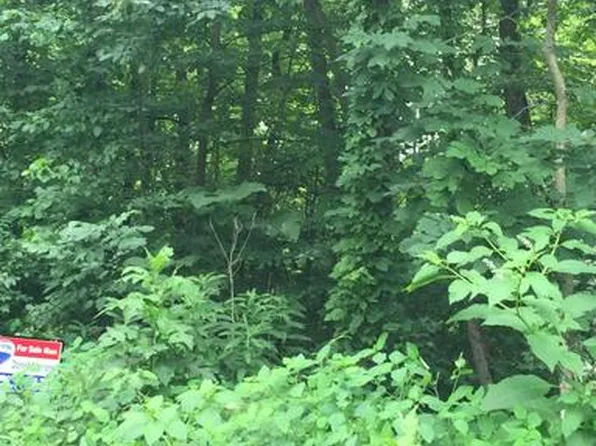 S Stephanies Pl, Falling Waters, WV 25419