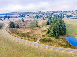 16725 Leitner Rd SW, Rochester, WA 98579