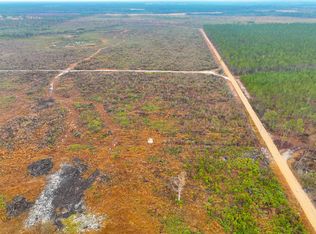 Aubrey Fender Rd LOT WP001, Willacoochee, GA 31650