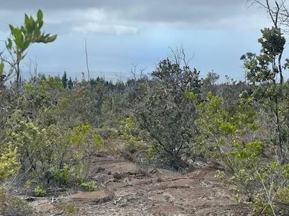 92-8629 Koa Ln Lot 16, Ocean View, HI 96737