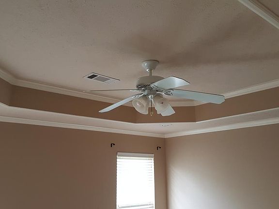 Tray ceiling and French doors in master suite