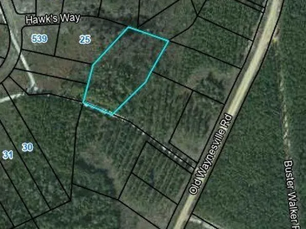 24 Hawks Way, Waynesville, GA 31566