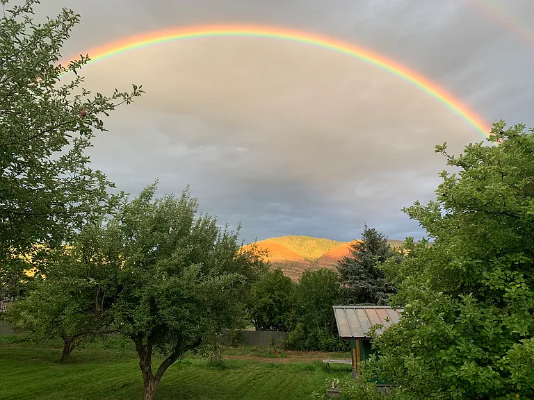 View from the porch