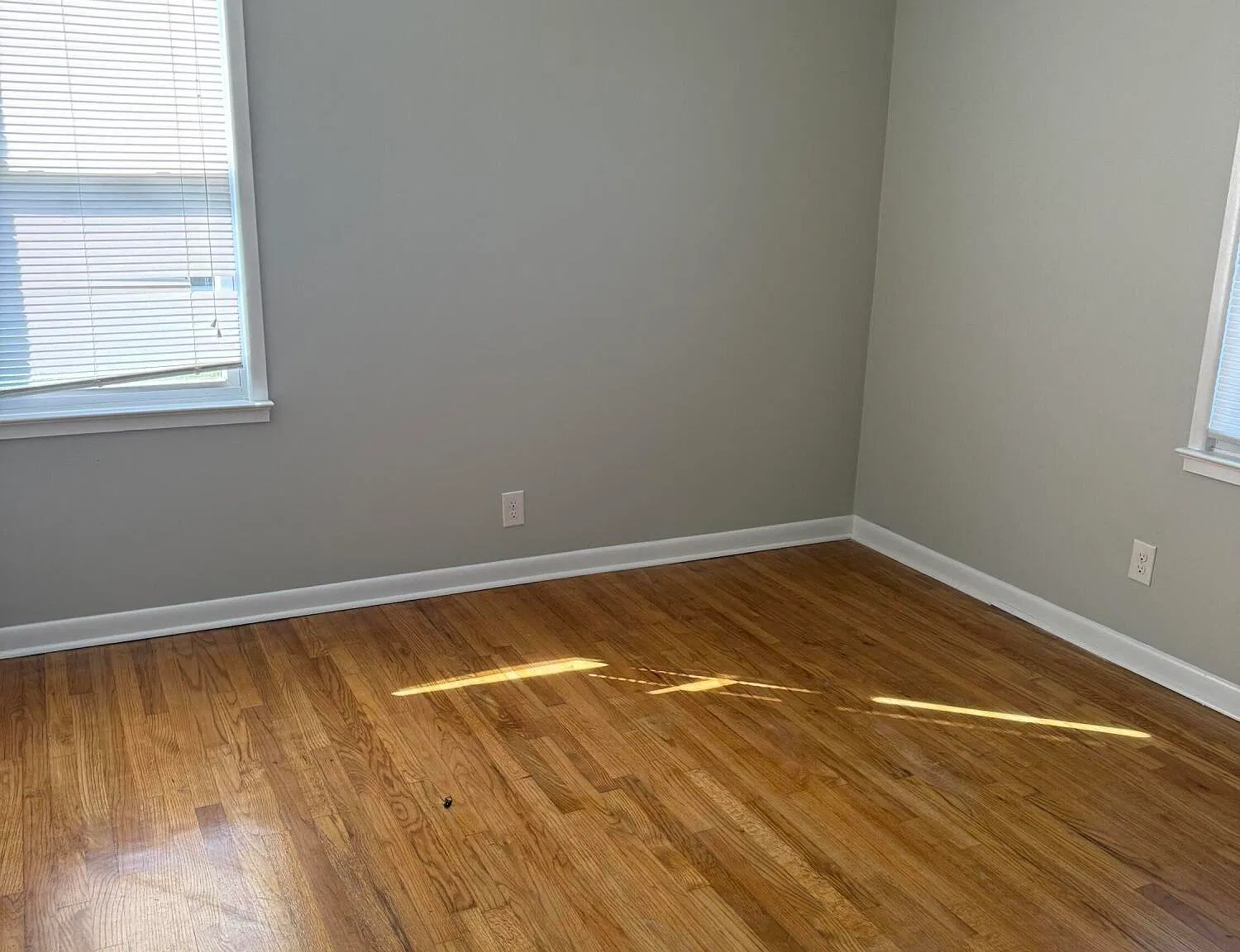 3 bed, 1.5 bath, $1,500 — Photo 4