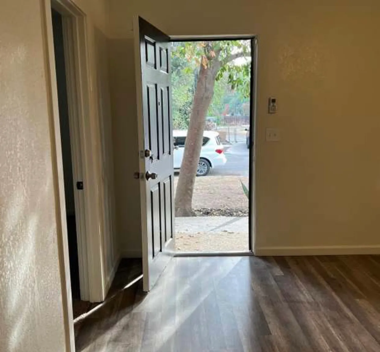 2 bed, 900 sqft, $1,750 — Photo 4