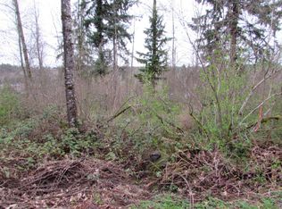 517 Prairie View Rd, South Prairie, WA 98385