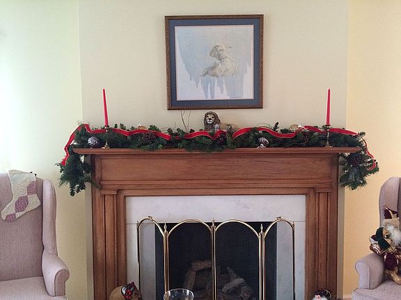 Living room fireplace