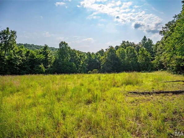 160 County Road 203, Annapolis, MO 63620