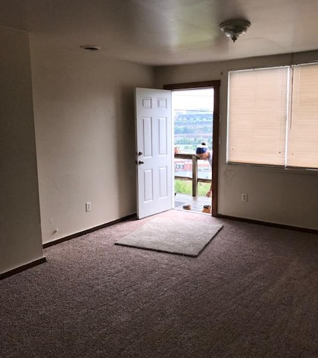 Entrance to living room/kitchen combination. New carpeting.