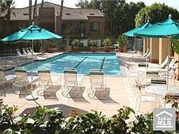 Large Lap Pool