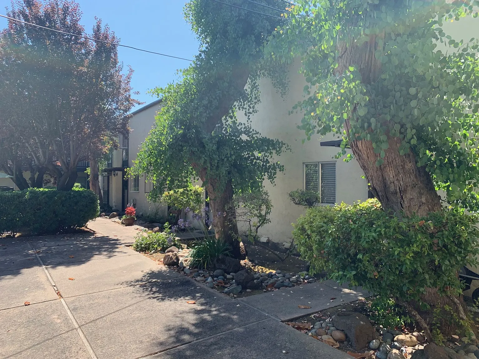 Danville Court Apartments — Photo 3