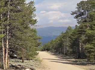 455 Spruce Drive, Leadville, CO 80461