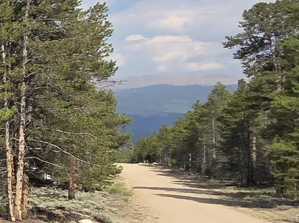 455 Spruce Drive, Leadville, CO 80461