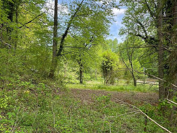 3rd image of 38 Mountain Laurel Dr