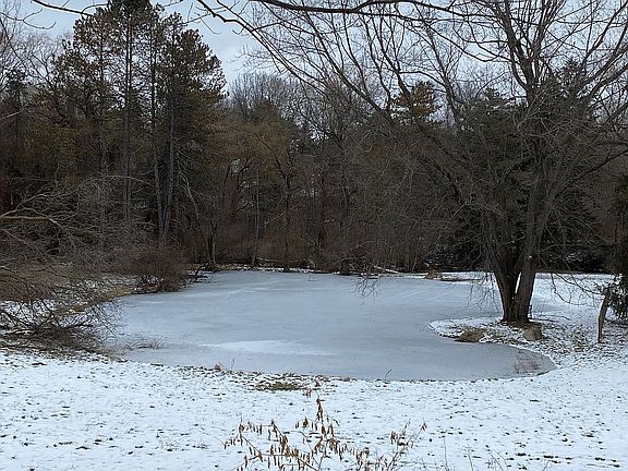 Pond on 2 1/2 acre property